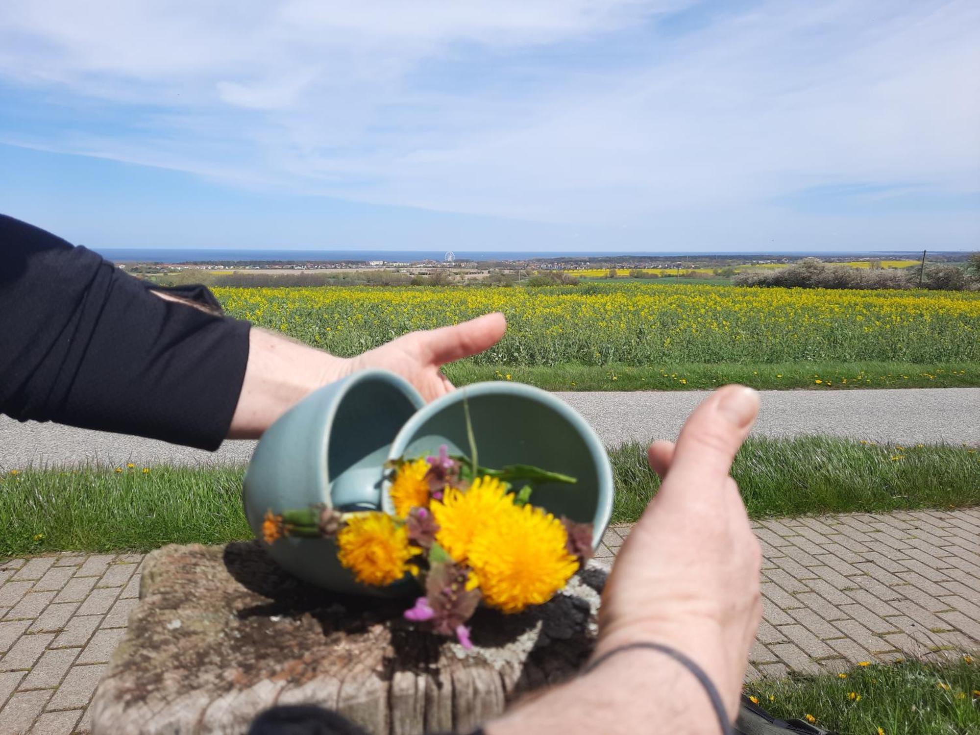 Apartment Ostseerauschen *