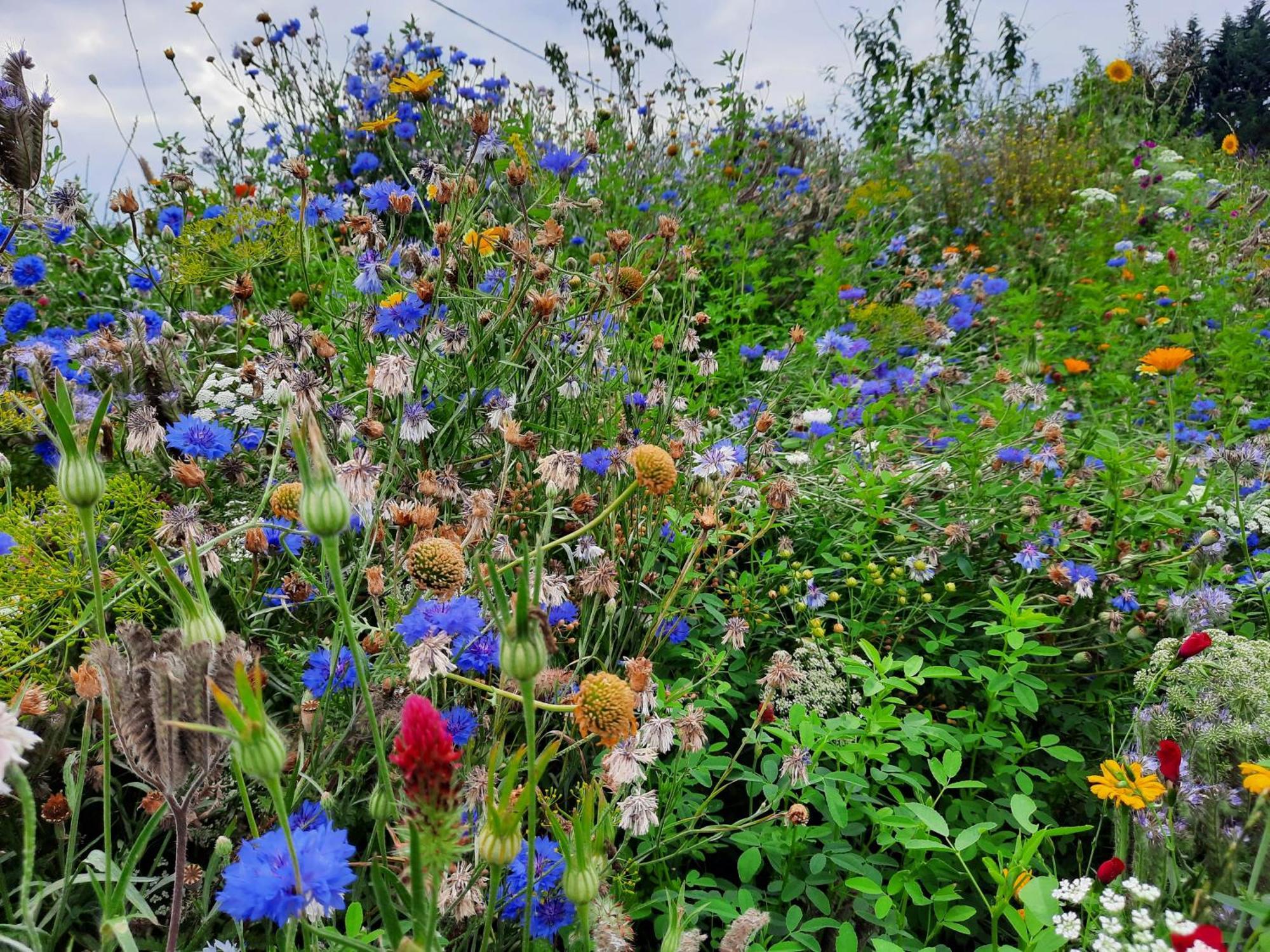 Apartment Ostseerauschen