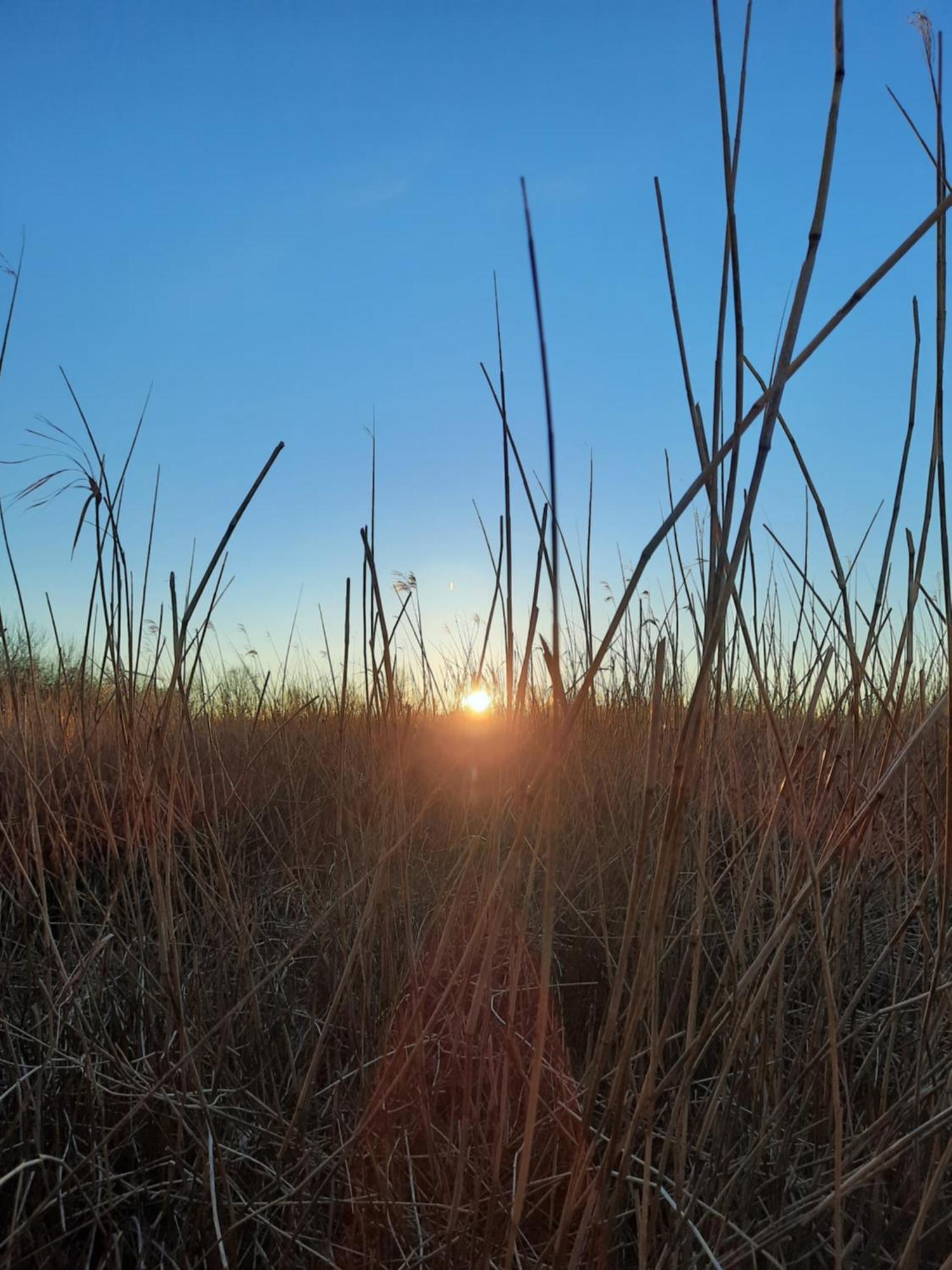 Ostseerauschen Apartment